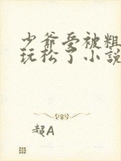 少爷受被粗汉H玩松了小说