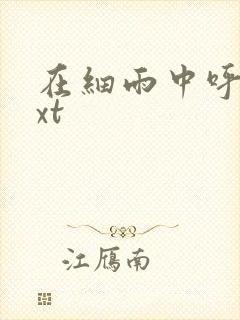 在细雨中呼喊txt