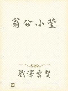 翁公小莹