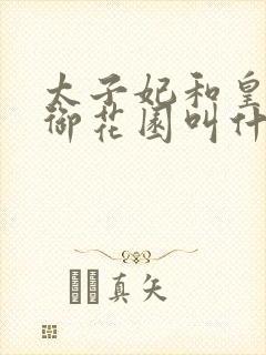 太子妃和皇帝在御花园叫什么小说