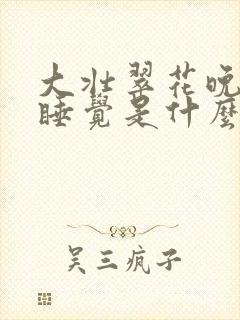 大壮翠花晚上不睡觉是什么电视剧