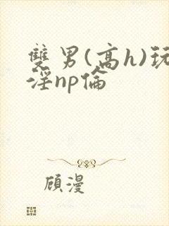 双男(高h)玩淫np伦