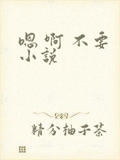 嗯 啊 不要 小说