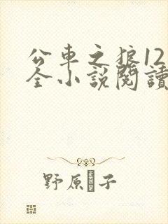 公车之狼12集全小说阅读