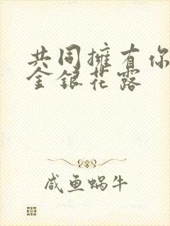 共同拥有你by金银花露