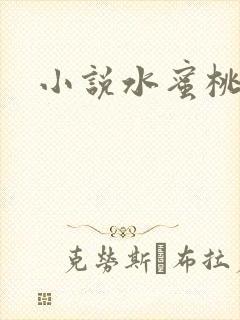 小说水蜜桃封面