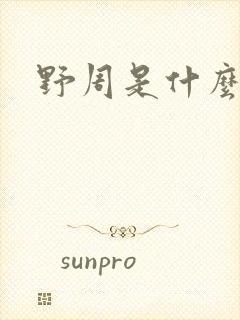 野周是什么意思