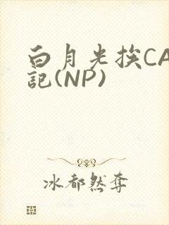 白月光挨CAO记(NP)