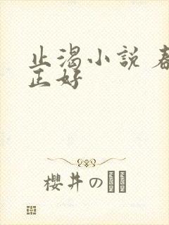 止渴小说 春光正好