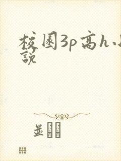 校园3p高h小说