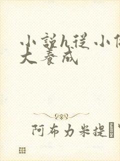 小说h从小做到大养成