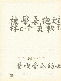 被学长抱进小树林c个爽软件