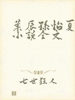 叶辰孙怡夏若雪小说全文封面