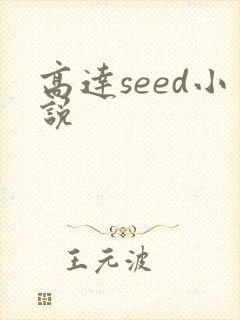 高达seed小说