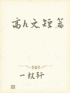 高h文短篇封面