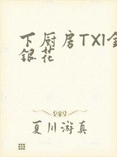 下厨房TXl金银花