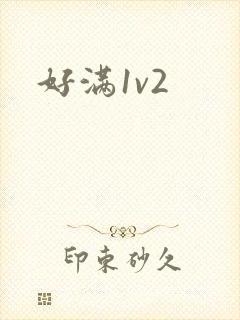 好满1v2