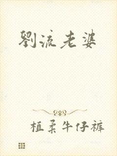 刘流老婆封面