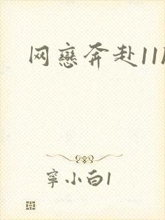 网恋奔赴11h封面