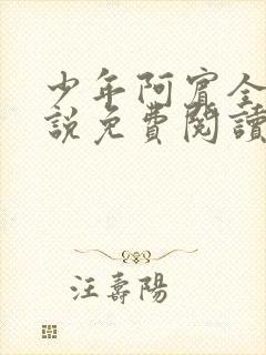 少年阿宾全文小说免费阅读笔趣阁