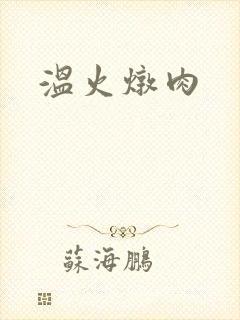 温火炖肉
