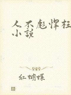 人不彪悍枉少年小说