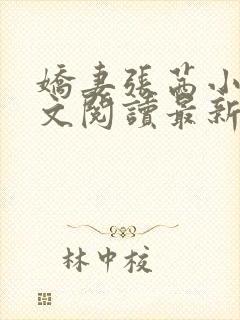 娇妻张茜小说全文阅读最新章节更新