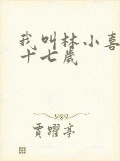 我叫林小喜今年十七岁