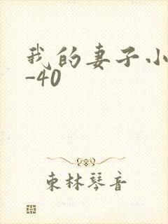 我的妻子小谨1-40