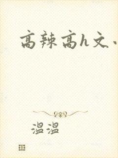高辣高h文小说封面