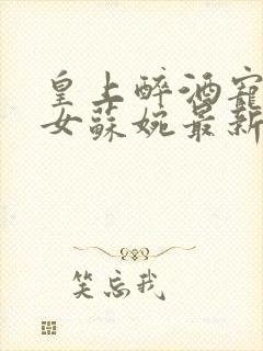 皇上醉酒宠幸宫女苏婉最新更新章节