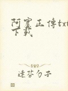 阿宾正传txt下载封面