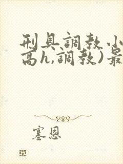 刑具调教小说(高h,调教)最新章节内容