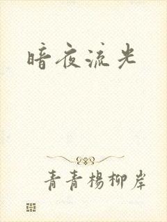 暗夜流光封面
