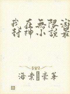 我在无限游戏里封神小说最新章节封面