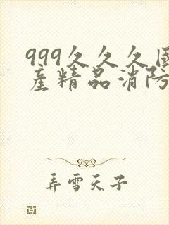 999久久久国产精品消防器材