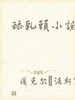 舔乳头小说在线