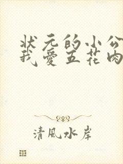 状元的小公主(我爱五花肉)封面