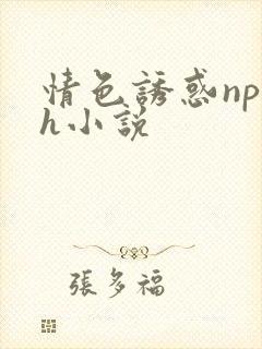 情色诱惑np高h小说