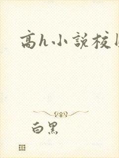 高h小说校园封面