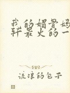 我的媚骨妈妈林轩最火的一句