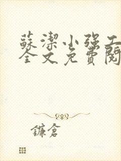 苏洁小强工地情全文免费阅读封面