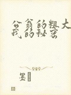 公翁的粗大放进我的秘密