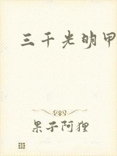 三千光明甲封面