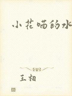 小花喵的水蜜桃