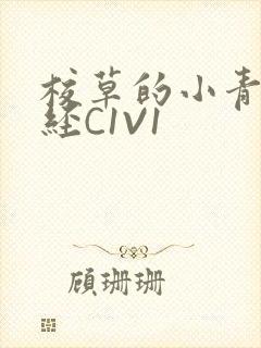 校草的小青梅不经C1V1封面