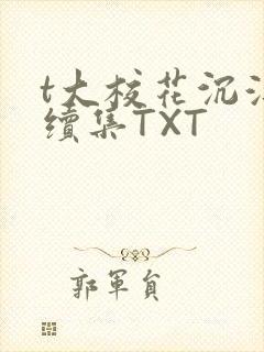 t大校花沉浮录续集TXT