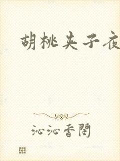 胡桃夹子夜未眠