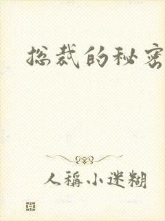 总裁的秘密情人