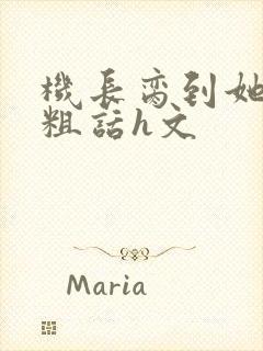 机长脔到她哭h粗话h文封面